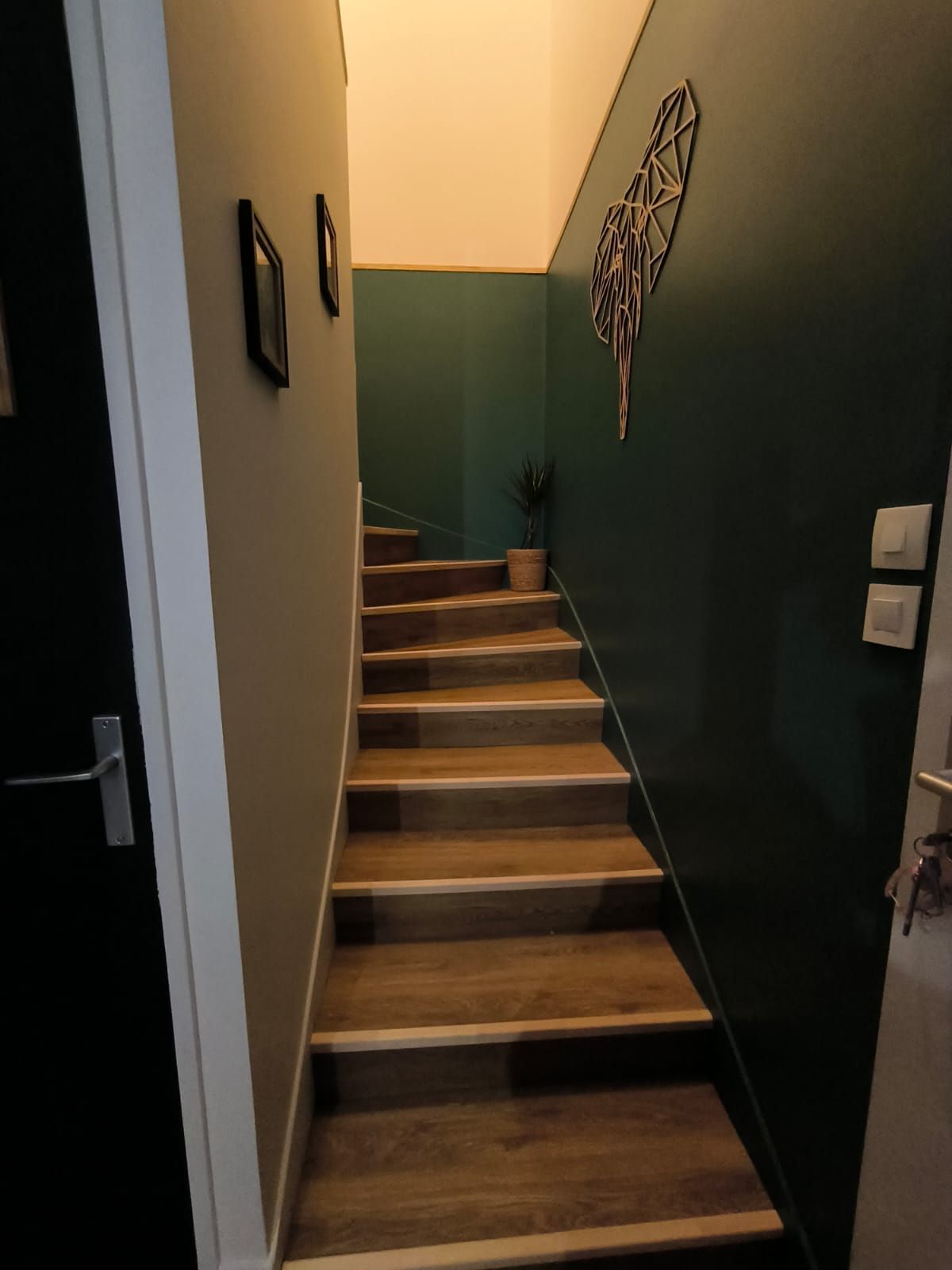 Cage d'escalier aux murs vert profond